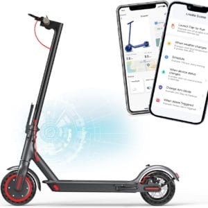 Roinside Electric scooter